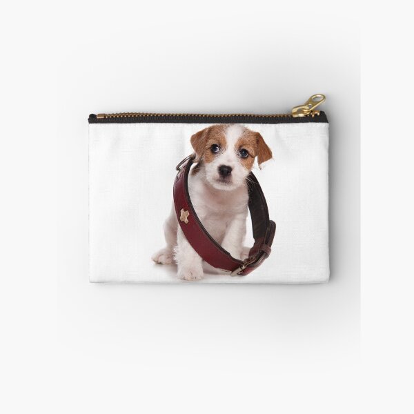 Item preview, Jack Russell Terrier puppy and a large collar designed and sold by utekhina.