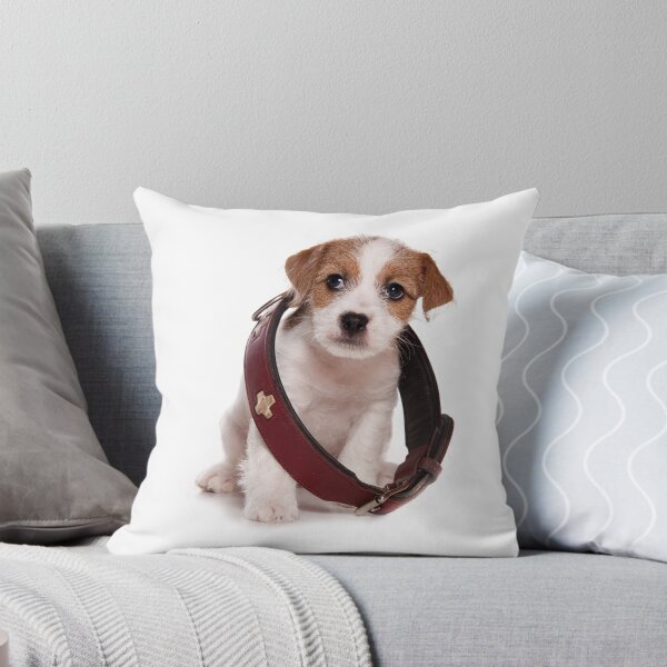Item preview, Jack Russell Terrier puppy and a large collar designed and sold by utekhina.