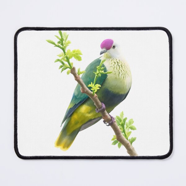 Item preview, Purple-capped Fruit Dove (Ptilinopus ponapensis) designed and sold by HOMETOWN86.