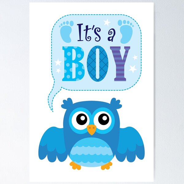 Item preview, Cute Owl Its A Boy Baby Shower Gift designed and sold by Minem39.