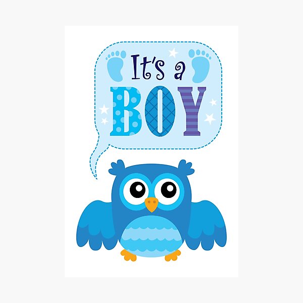Item preview, Cute Owl Its A Boy Baby Shower Gift designed and sold by Minem39.