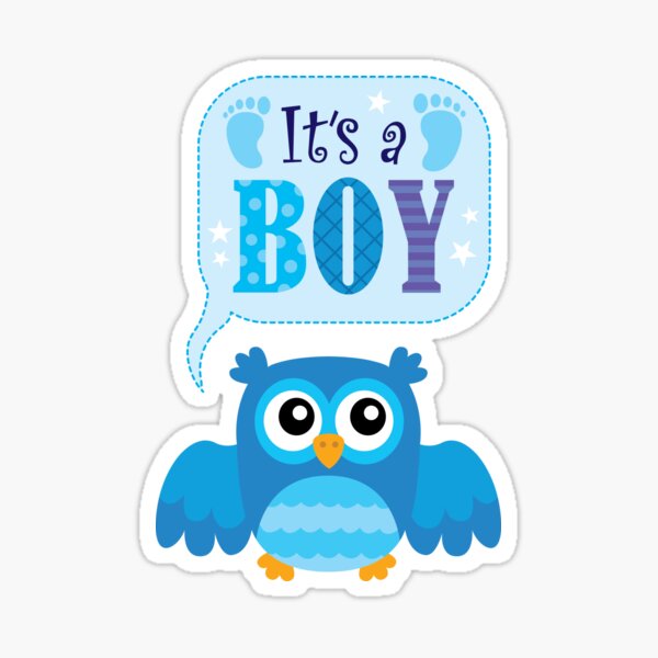 Item preview, Cute Owl Its A Boy Baby Shower Gift designed and sold by Minem39.