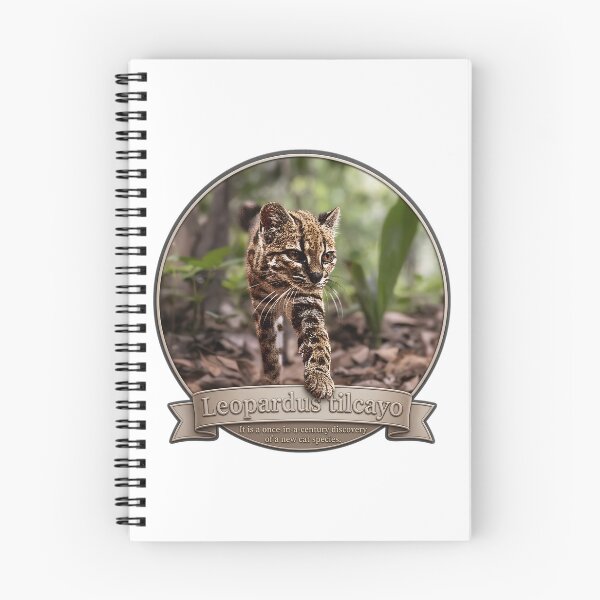 Item preview, Leopardus Tilcayo: The 100-Year Miracle Wild Cat designed and sold by DAEWI PARK.