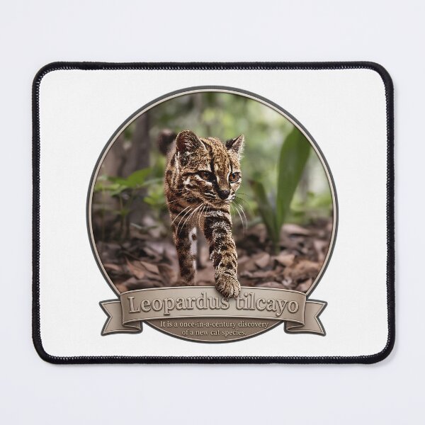 Item preview, Leopardus Tilcayo: The 100-Year Miracle Wild Cat designed and sold by DAEWI PARK.