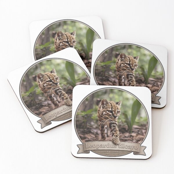 Item preview, Leopardus Tilcayo: The 100-Year Miracle Wild Cat designed and sold by DAEWI PARK.