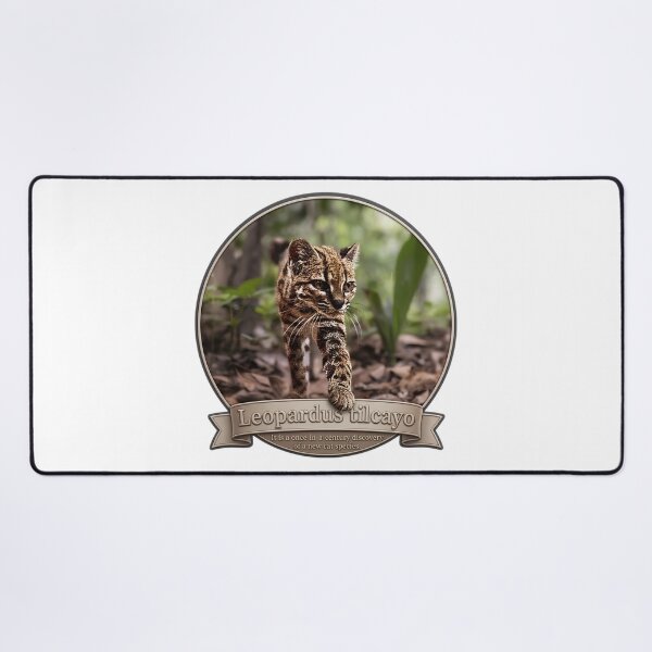 Item preview, Leopardus Tilcayo: The 100-Year Miracle Wild Cat designed and sold by DAEWI PARK.
