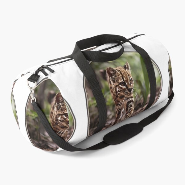 Item preview, Leopardus Tilcayo: The 100-Year Miracle Wild Cat designed and sold by DAEWI PARK.