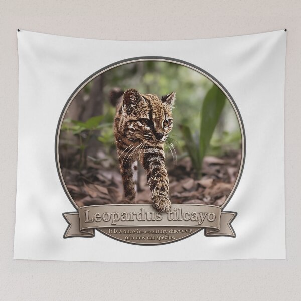 Item preview, Leopardus Tilcayo: The 100-Year Miracle Wild Cat designed and sold by DAEWI PARK.
