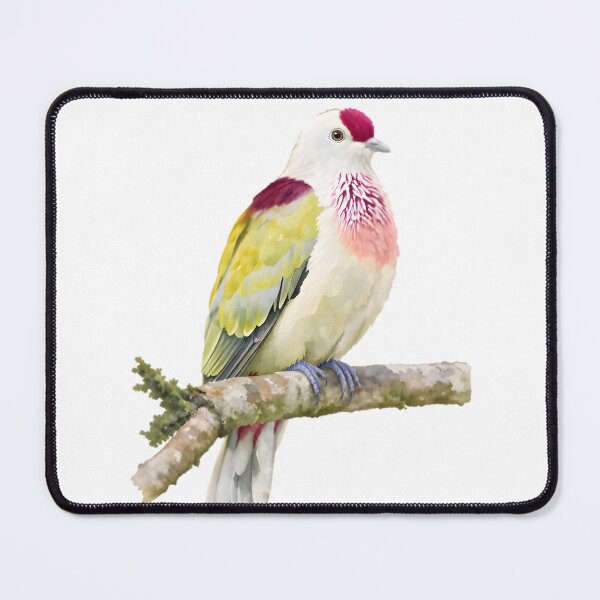 Item preview, Many-colored Fruit Dove (Ptilinopus perousii) designed and sold by HOMETOWN86.