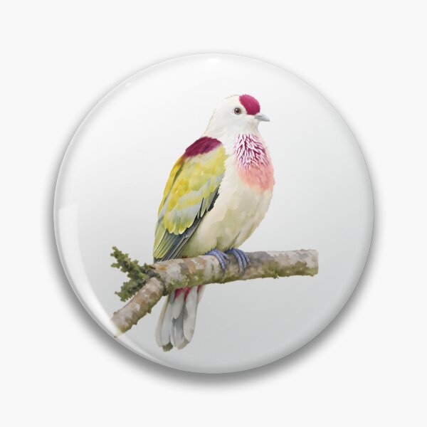Item preview, Many-colored Fruit Dove (Ptilinopus perousii) designed and sold by HOMETOWN86.