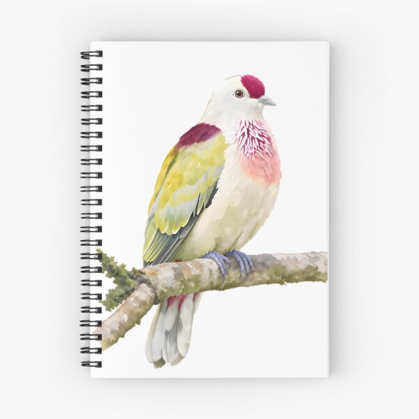 Item preview, Many-colored Fruit Dove (Ptilinopus perousii) designed and sold by HOMETOWN86.