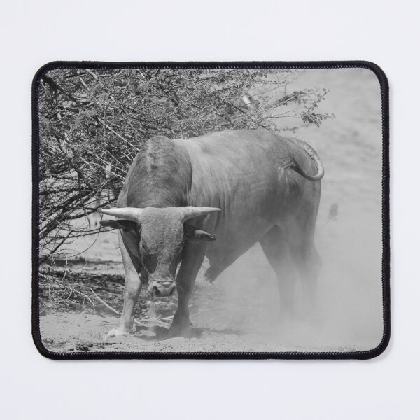 Item preview, Namibian bull designed and sold by DeVeauDesign.