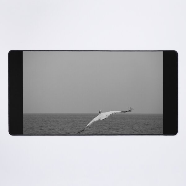 Item preview, Great white Pelican designed and sold by DeVeauDesign.