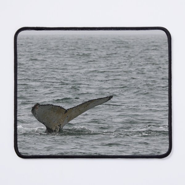 Item preview, Namibian Whale designed and sold by DeVeauDesign.
