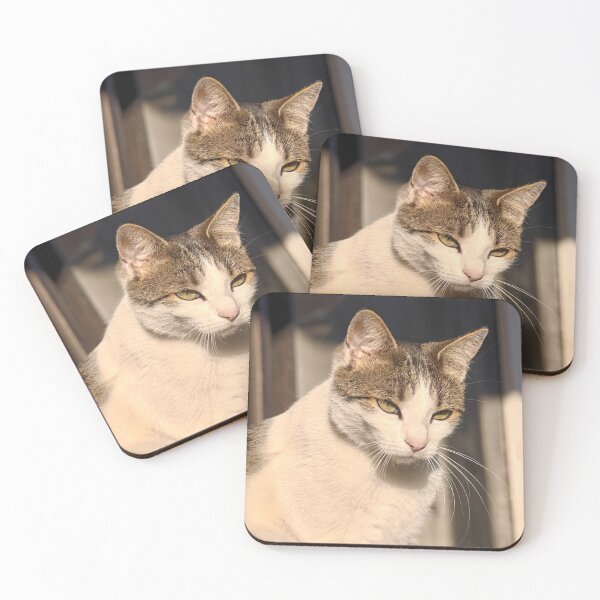 Item preview, Sun-Kissed Cat – Peaceful Feline Portrait designed and sold by MB-CatPrints.