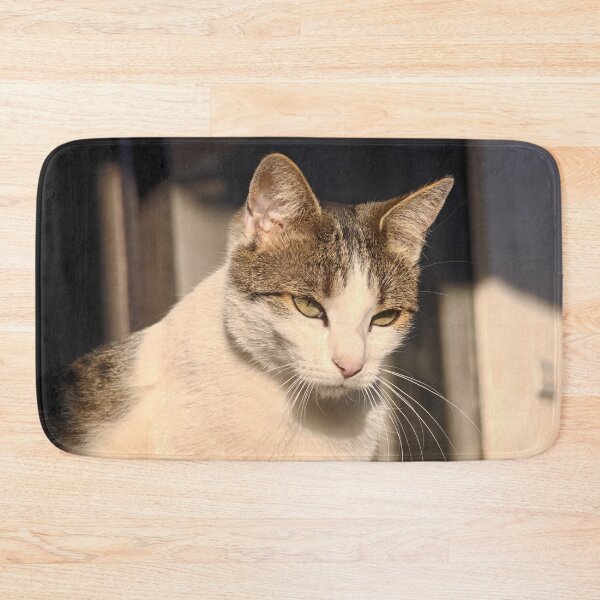 Item preview, Sun-Kissed Cat – Peaceful Feline Portrait designed and sold by MB-CatPrints.