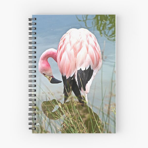 Item preview, Andean Flamingo designed and sold by John Thurgood.