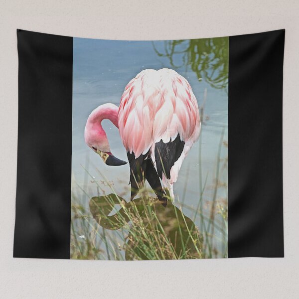 Item preview, Andean Flamingo designed and sold by John Thurgood.