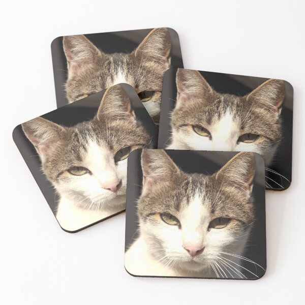 Item preview, Intense Cat Stare – Striking Feline Portrait designed and sold by MB-CatPrints.