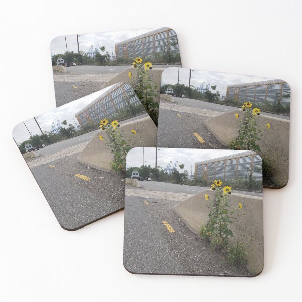 Item preview, Highway Sunflowers by the Railyard designed and sold by concretebotany.