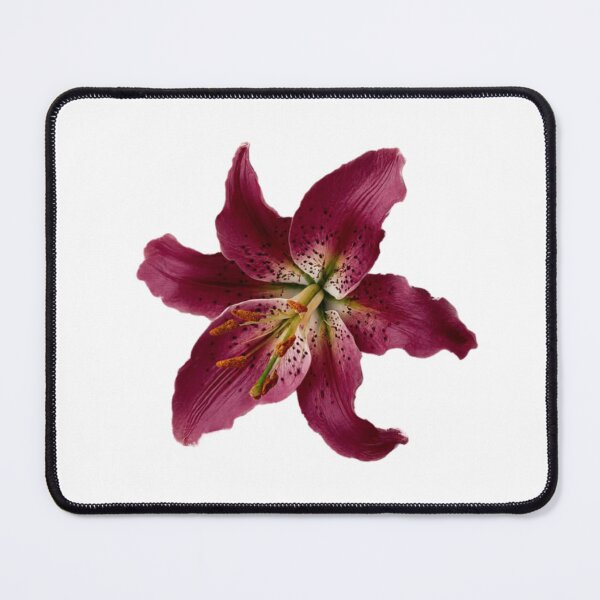Item preview, Burgundy Lily Flower designed and sold by cchickennugget.