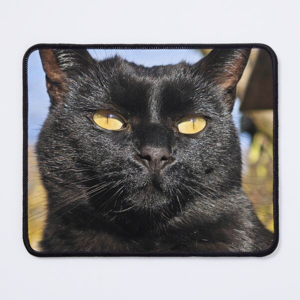 Item preview, Golden-Eyed Black Cat Portrait designed and sold by MB-CatPrints.