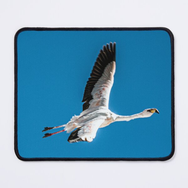 Item preview, Pink flamingo flying lagoon Puna Argentina taking flight designed and sold by Keltoi-art.