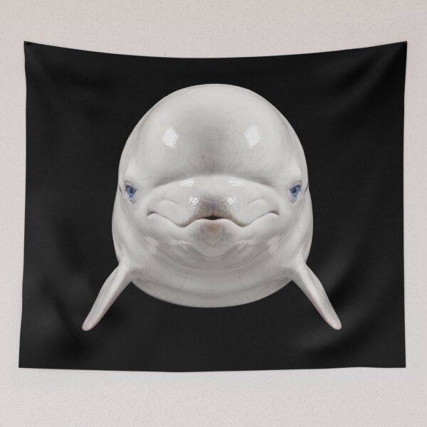 Item preview, Beluga Whale Face Cute Blue Eyes Ocean Animal Art designed and sold by cabana.space.