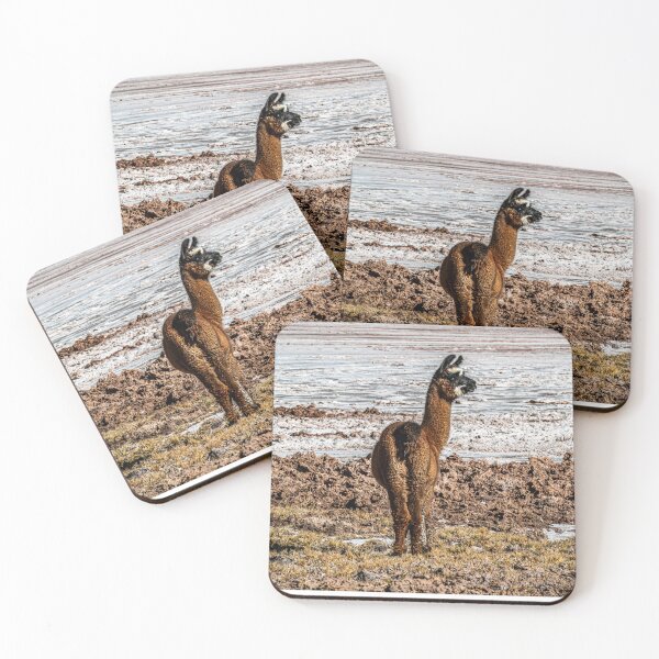 Item preview, Solitary Lama Salar Carachi Pampa Jujuy Puna designed and sold by Keltoi-art.