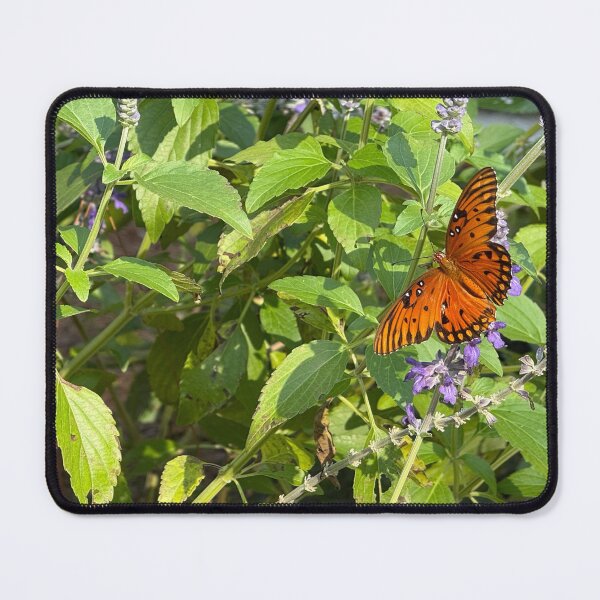 Item preview, butterfly on blue salvia flower designed and sold by SavannahSale.