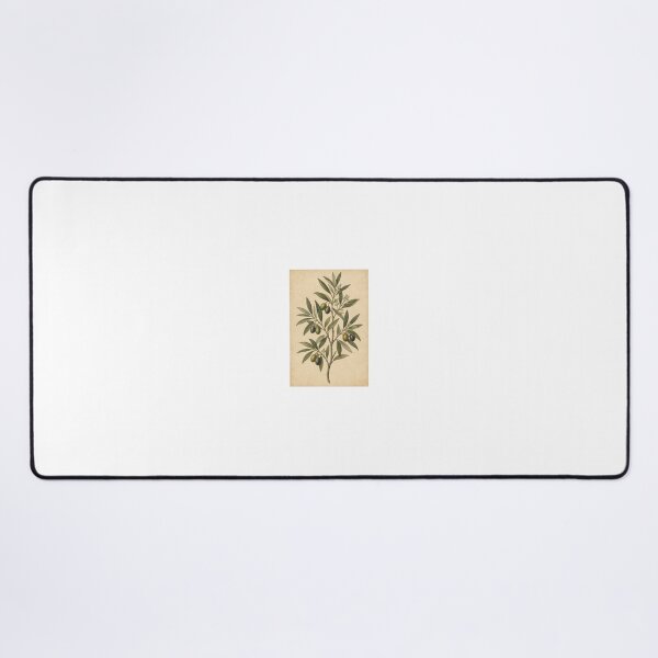 Item preview, Vintage Olive Branch Botanical Art | Antique Mediterranean Plant Illustration designed and sold by VoidBearer03.