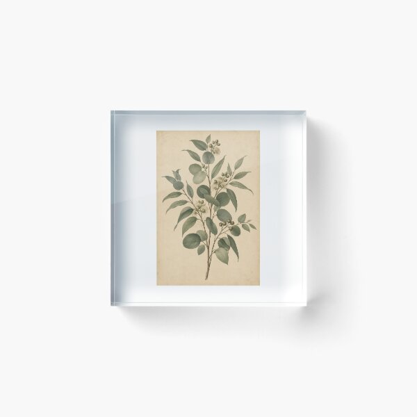Item preview, Vintage Eucalyptus Botanical Art | Antique Botanical Leaf Illustration designed and sold by VoidBearer03.