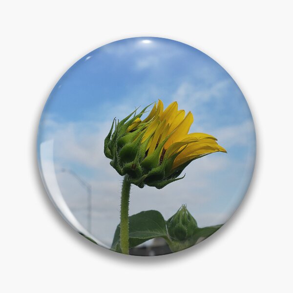 Item preview, A Highway Sunflower Unfurling Into the Sky designed and sold by concretebotany.