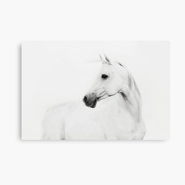 Item preview, White Horse - Animals Photography designed and sold by Digital  Cloud.