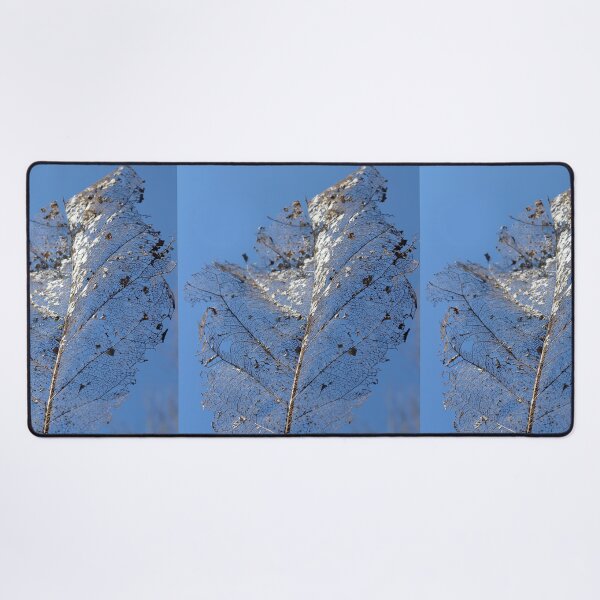Item preview, Skeleton Leaf Veins Nature Photography designed and sold by pinkal.