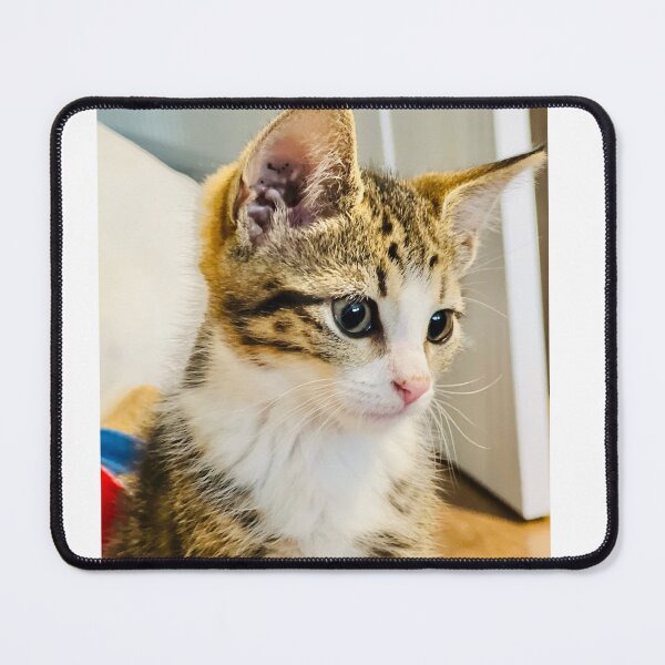 Item preview, Curious tabby cat looking intently to the side designed and sold by MeliMedO Art.