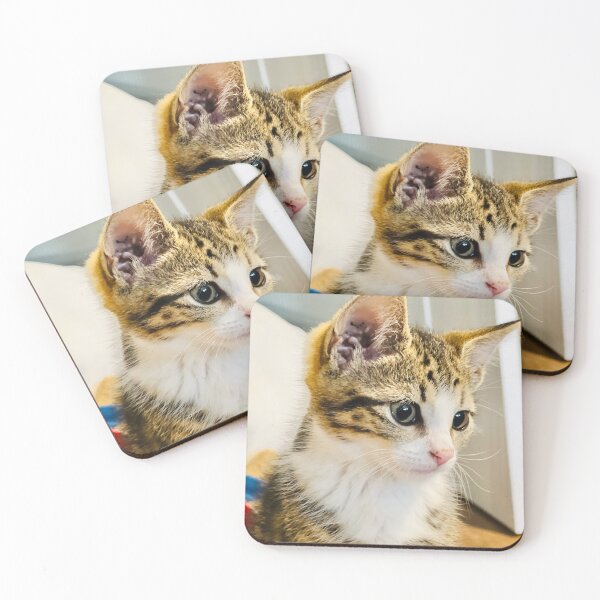 Item preview, Curious tabby cat looking intently to the side designed and sold by MeliMedO Art.
