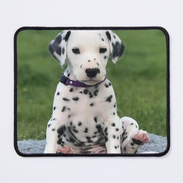 Item preview, Dalmatian Puppy with Purple Collar Sitting designed and sold by VanGaldo.