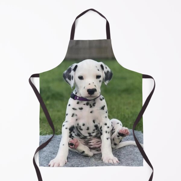 Item preview, Dalmatian Puppy with Purple Collar Sitting designed and sold by VanGaldo.