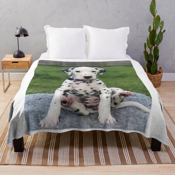 Item preview, Dalmatian Puppy with Purple Collar Sitting designed and sold by VanGaldo.