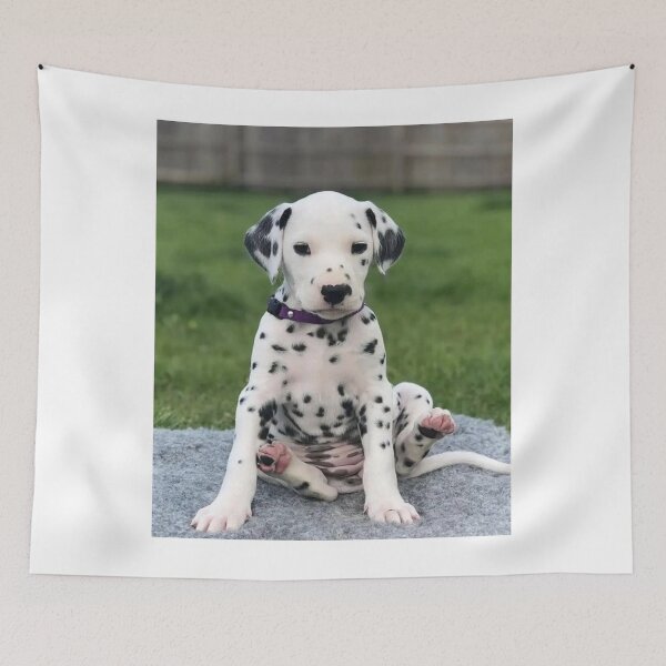 Item preview, Dalmatian Puppy with Purple Collar Sitting designed and sold by VanGaldo.
