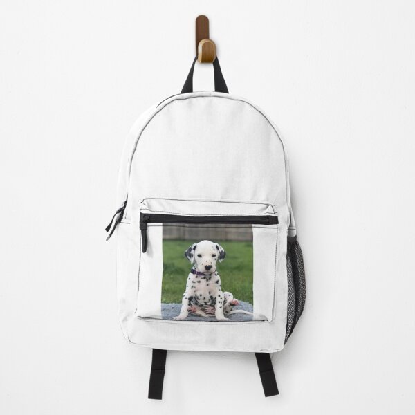 Aperçu de l'œuvre Chiot dalmatien avec collier violet assis créée et vendue par VanGaldo.