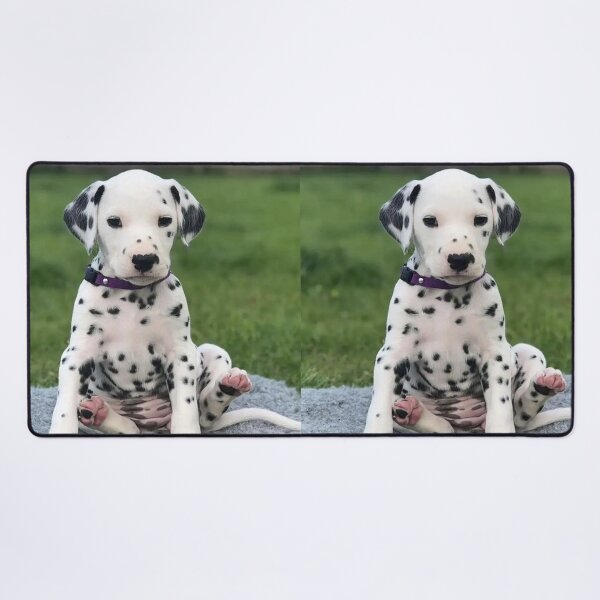 Item preview, Dalmatian Puppy with Purple Collar Sitting designed and sold by VanGaldo.