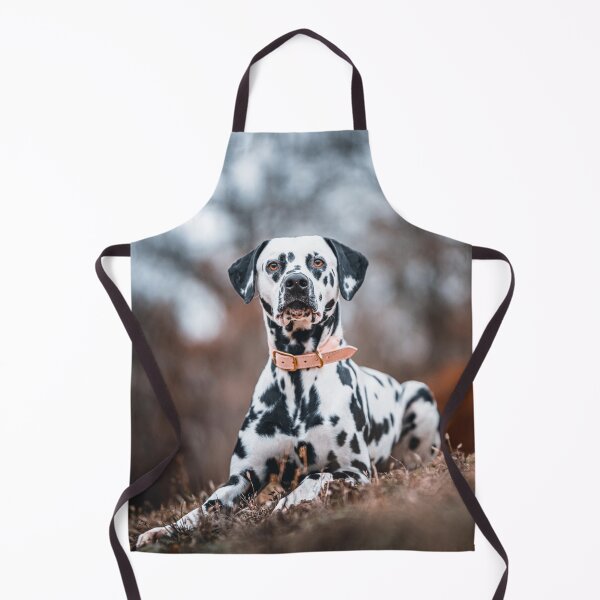 Item preview, Close-Up Portrait of a Purebred Dalmatian Dog designed and sold by VanGaldo.
