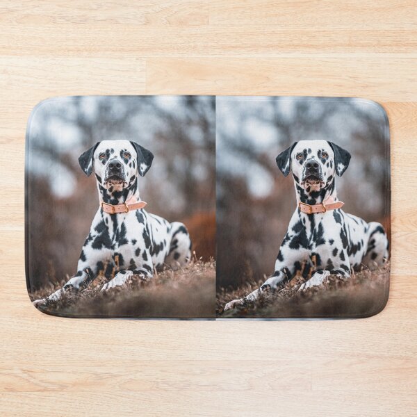 Item preview, Close-Up Portrait of a Purebred Dalmatian Dog designed and sold by VanGaldo.