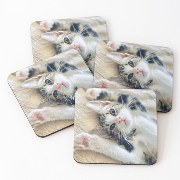 Item preview, Cute fluffy tabby cat lying on its back with paws up designed and sold by MeliMedO Art.