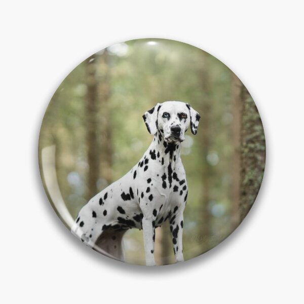 Item preview, Dalmatian Dog Standing in a Forest designed and sold by VanGaldo.