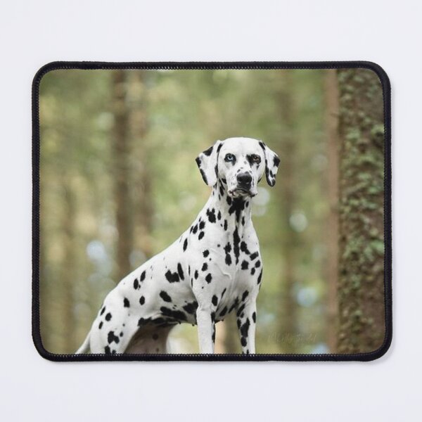 Item preview, Dalmatian Dog Standing in a Forest designed and sold by VanGaldo.