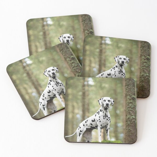 Aperçu de l'œuvre Chien dalmatien debout dans la forêt créée et vendue par VanGaldo.