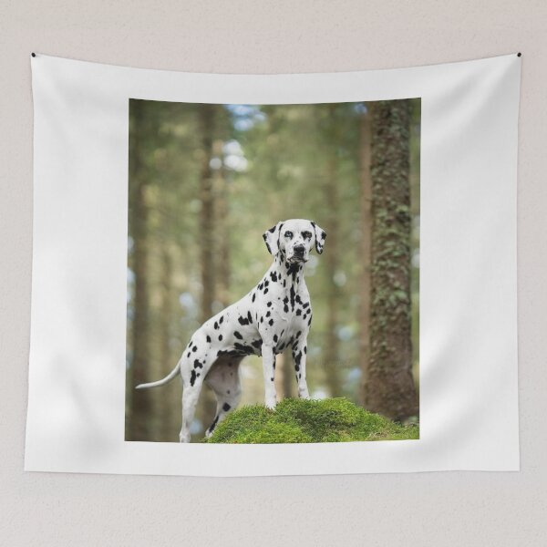 Item preview, Dalmatian Dog Standing in a Forest designed and sold by VanGaldo.